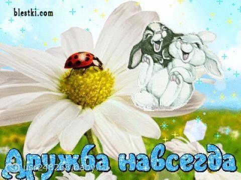 Открытка друзья навсегда Открытка друзья навсегда