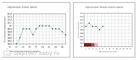 Какие таблетки пить при остеохондрозе: лекарства и их действия Как выбрать велосипедное седло, лучшее седло для велосипеда