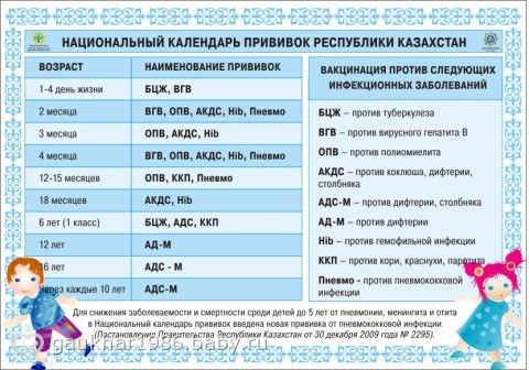 Как сделать календарь прививок Как сделать календарь прививок