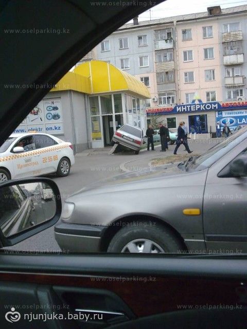 Поисковый отряд Лиза Алерт Киров ВКонтакте Поздравления на День матери 2017 в прозе
