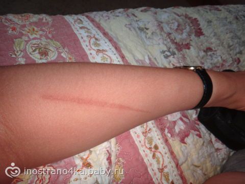 Смотреть передачу как это сделано все серии Смотреть передачу как это сделано все серии