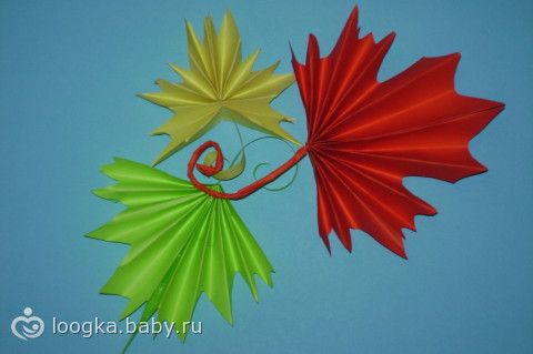 Валяние кленовый лист Валяние кленовый лист