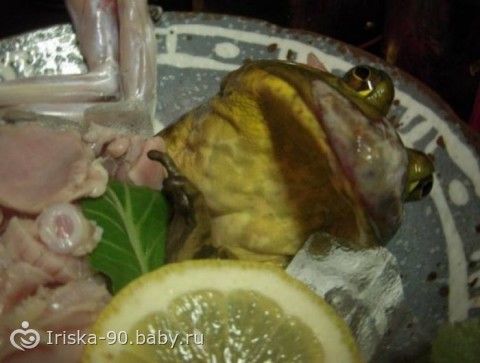 Рецепты блюд из замороженного щавеля