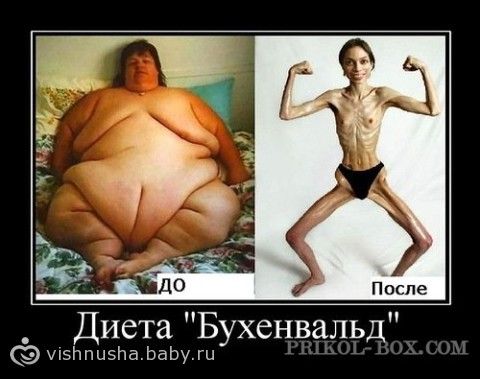 как я похудела за 2 месяца как я похудела за 2 месяца