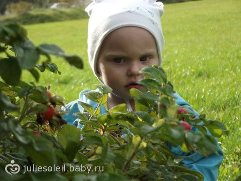 Картинки чудесный осенний день Картинки чудесный осенний день