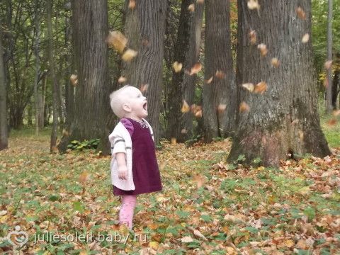 Картинки чудесный осенний день Картинки чудесный осенний день