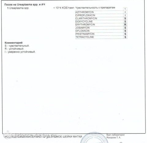Когда сажать петунию на рассаду: правила выращивания и ухода Петунии: 4 шага к хорошей рассаде - Клуб любителей дачи