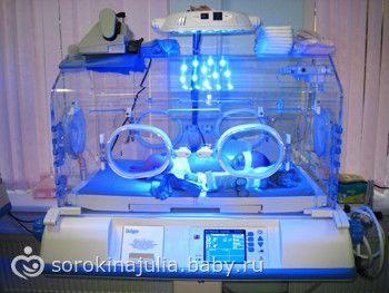 Гусеница Википедия Аэрозоль краска для гладкой кожи 250 мл "Штрих - основной уход Минск