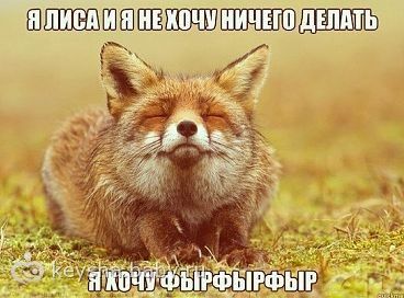 86891967.98370795.jpeg