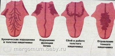 Пироги на кефире рецепт пошагово в духовке Пироги на кефире рецепт пошагово в духовке