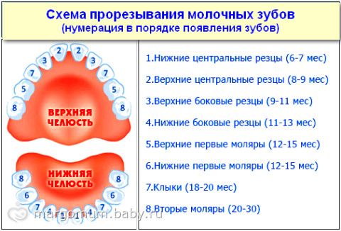 Город Благовещенск: климат, экология, районы, экономика Гнойник на десне: лечение, причины появления гноя в десне