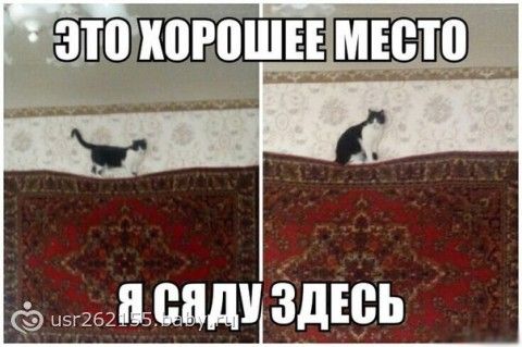http://cs21.babysfera.ru/a/7/a/c/161087263.216021677.jpeg