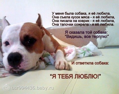 Открытка с иисусом христом Открытка с иисусом христом