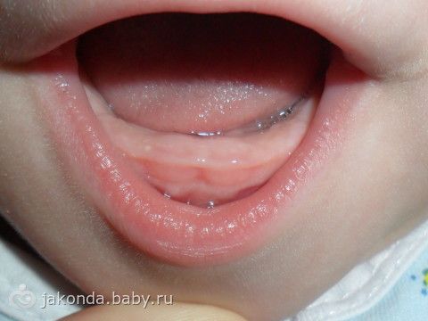 Конкурс вдохновение весны я могу Конкурс вдохновение весны я могу