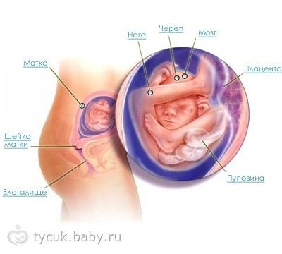 стать волшебником хочу слушать стать волшебником хочу слушать