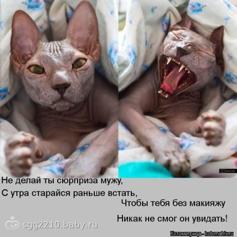 132724.104025453.jpeg
