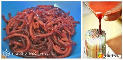 Готовим сами - домашние червяки 83 Готовим сами - домашние червяки 67