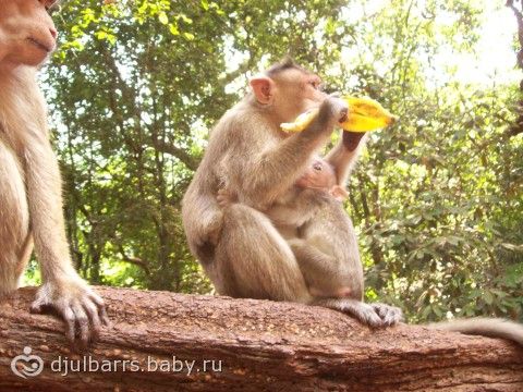 Включила старый компьютер и наткнулась на фото с ГОА… Захотелось поделиться))
