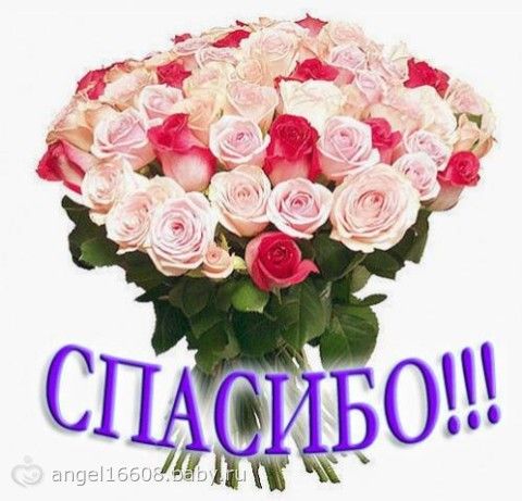 Наш Большой Юбилей!!!!!!!