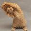 Коша Коша