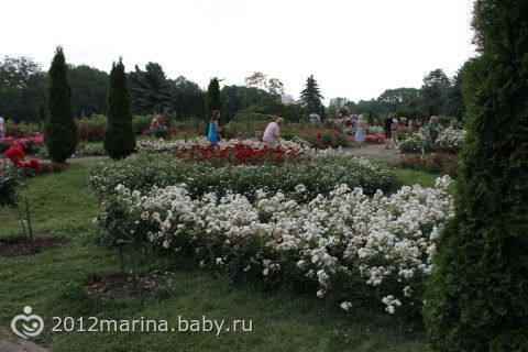 Фотографии ботанический сад минск