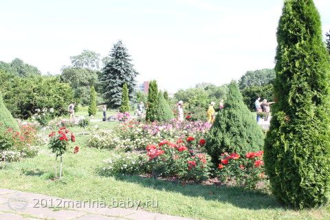 Фотографии ботанический сад минск