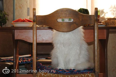 Насморк у ребенка как не запустить