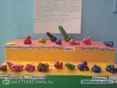 Фото дети вешают кормушку для 54 Фото дети вешают кормушку для 83