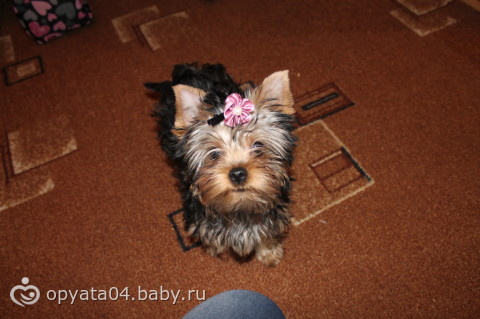 Завела себе дочечку)))