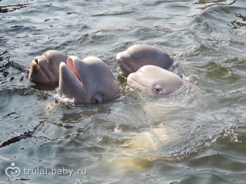 большой отчет с отдыха на море (фото +)
