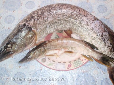 диетический рецепт из щуки в духовке