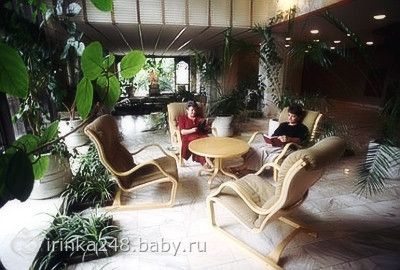 Фитодизайн помещений