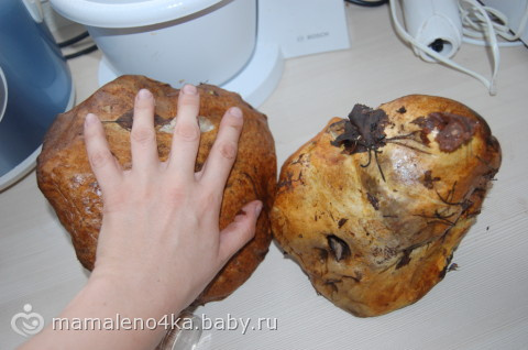 Грибы, грибочки, грибочечки)))))