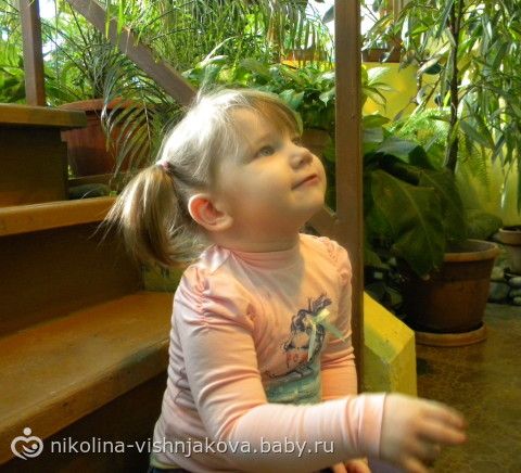 Дом бабочек на ВВЦ