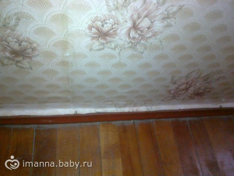 Как вы поступили бы? квартирный вопрос...