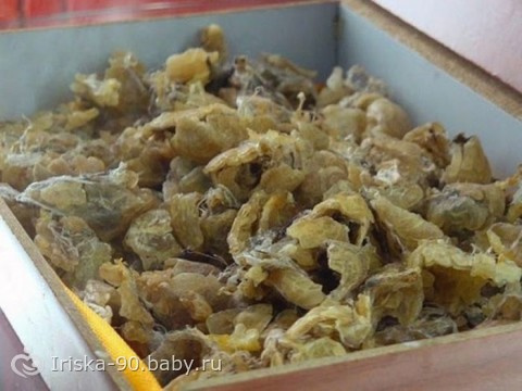 Самые мерзкие блюда в мире !!!Не для слабонервных!