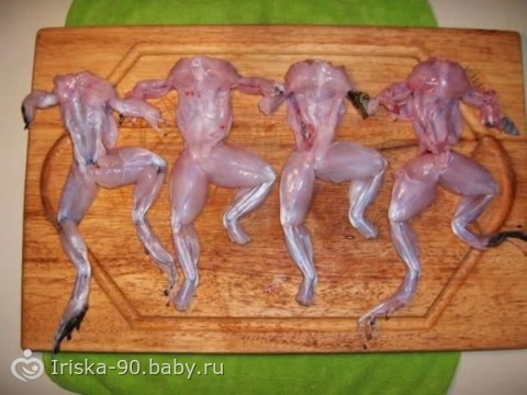 Самые мерзкие блюда в мире !!!Не для слабонервных!