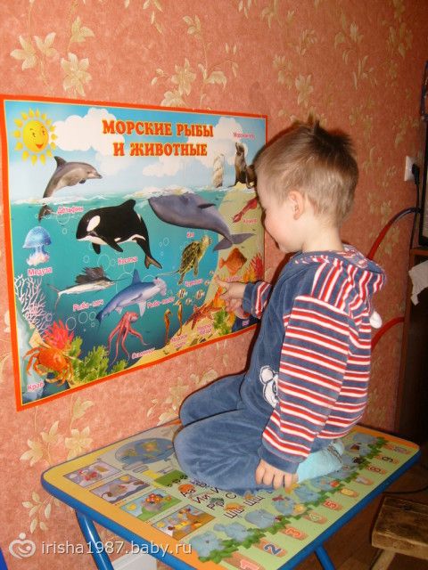 ТН № 3 Морские обитатели.