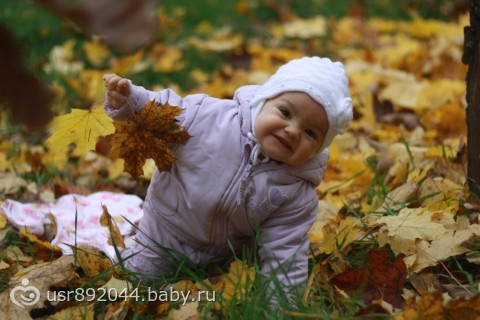 Осенний фотосет. Vol.2