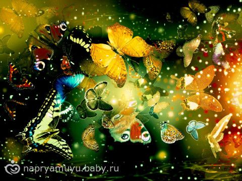 Летний коллективный Взлёт ФлайЛеди Шаг 19/31