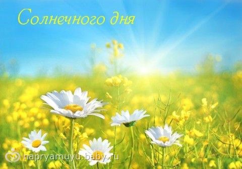 Коллективный Взлёт ФлайЛеди Шаг 30/31