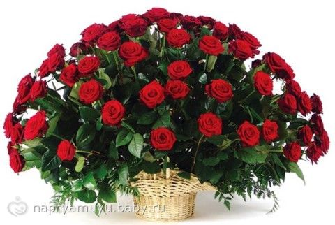 ПредНовогодний коллективный Взлёт ФлайЛеди 2015 Шаг 31/31 Итоги.