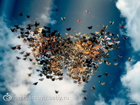 Летний коллективный Взлёт ФлайЛеди Шаг 4/31