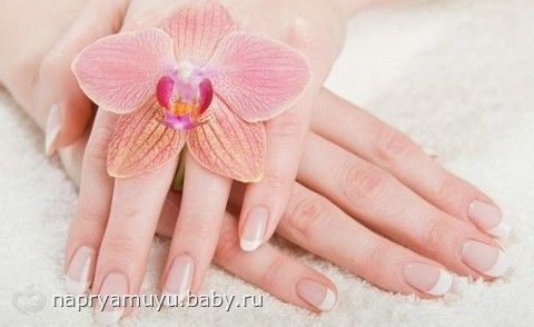 ПредНовогодний коллективный Взлёт ФлайЛеди 2015 Шаг 15/31