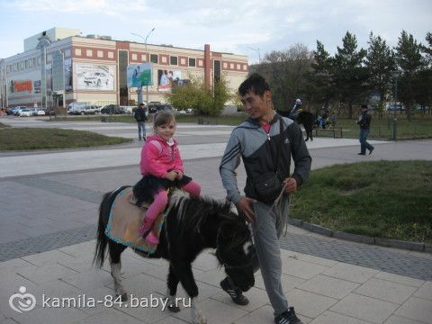 Мы сходили в цирк на Остров Грез