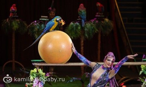 Мы сходили в цирк на Остров Грез
