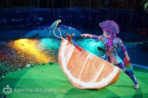 Мы сходили в цирк на Остров Грез