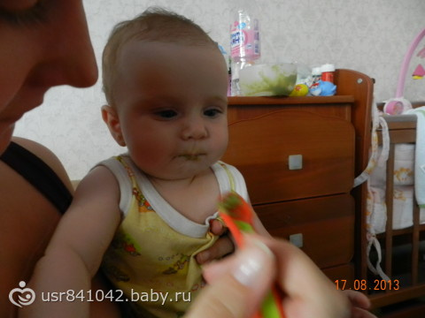 введение прикорма.