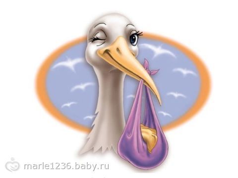 всё таки аисты…