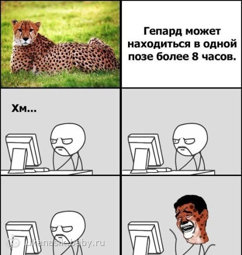 лолик